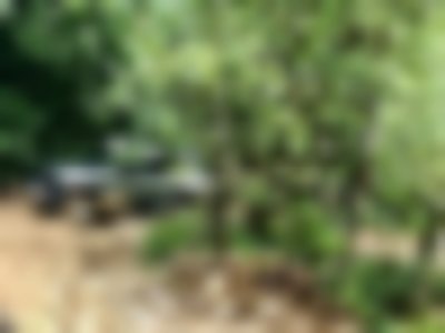 Land Rover Defender 110 2020 Test Fotos Allrad Offroad Video
