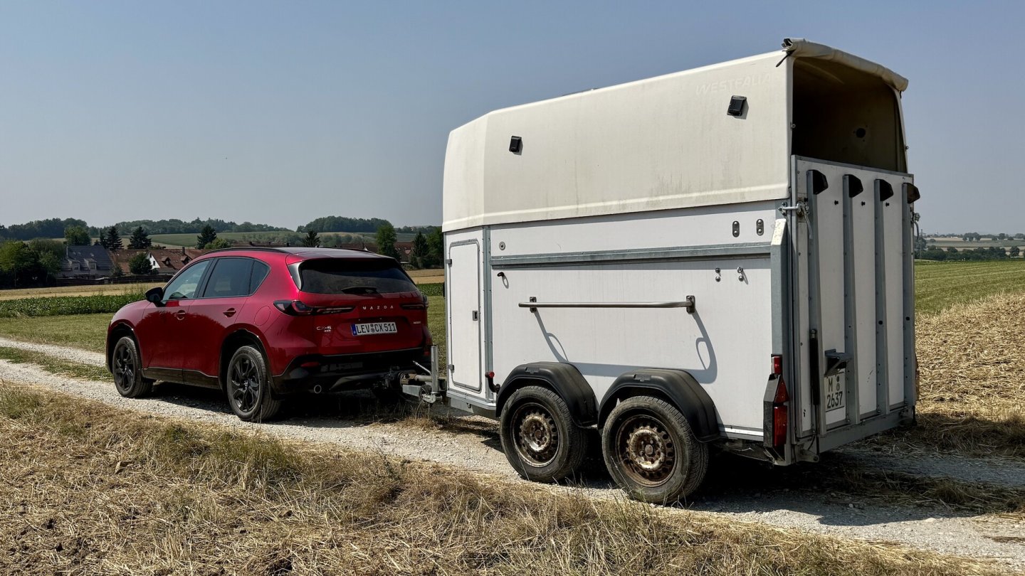 Im Hängerbetrieb muss sich der Motor mit 238 Nm Drehmoment ordentlich anstrengen.